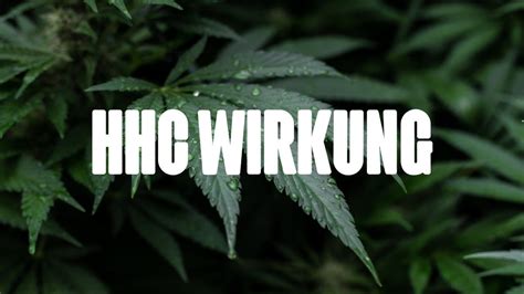 hhc wirkung