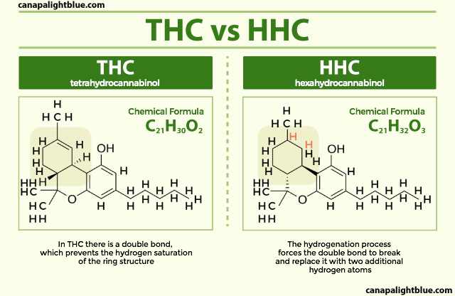 HHC gegen THC