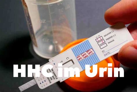 HHC im Urin Nachweisbar